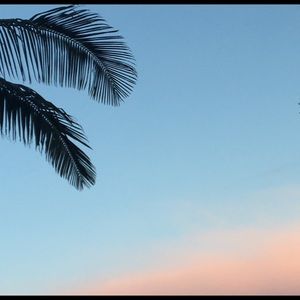 Meet your Posher, Kassy